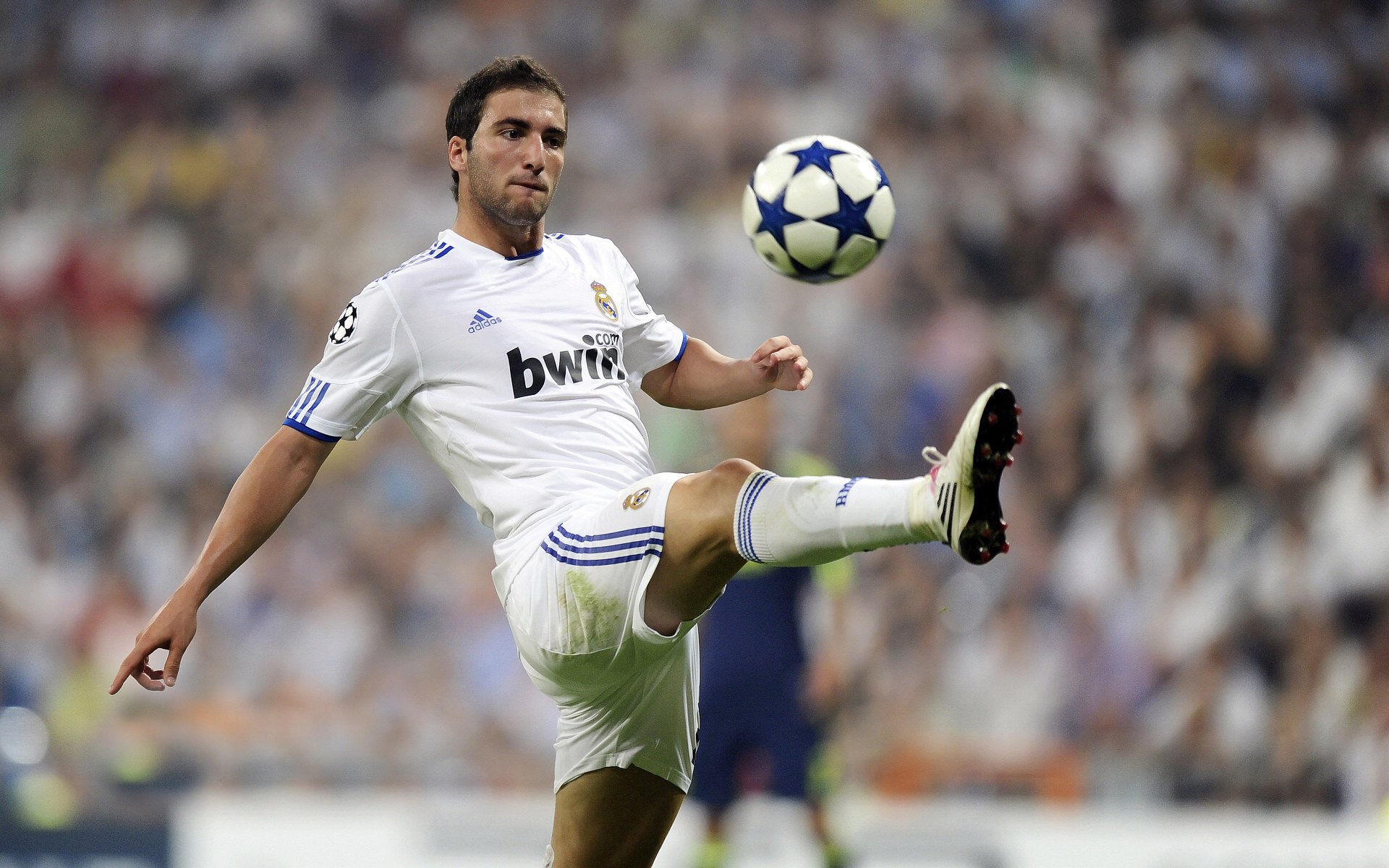 骑士完胜勇士?武切维奇跨界德甲争冠战!一场体育迷的思维狂欢与隐喻盛宴