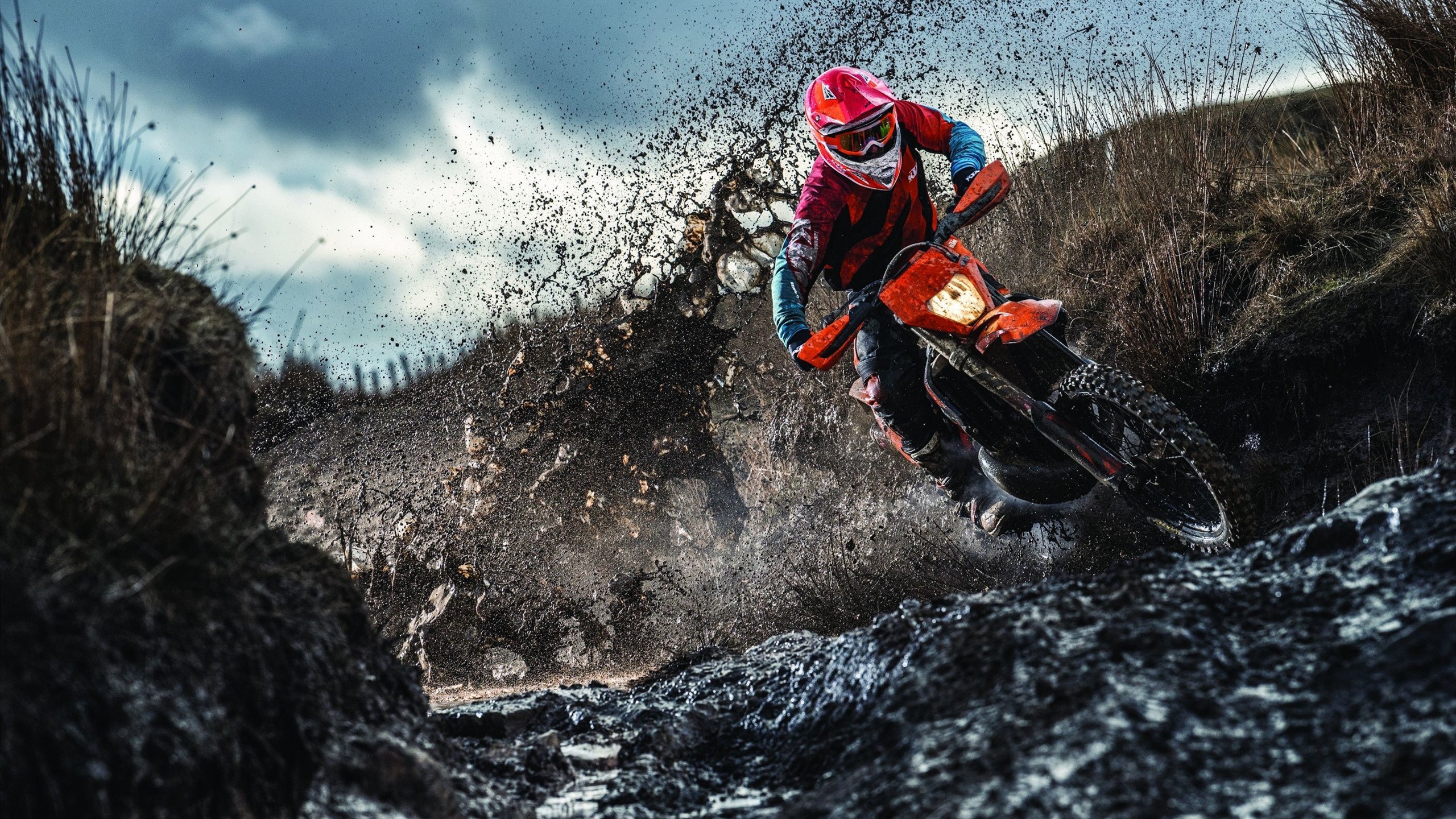 一锤定音！绿军铁壁锁死开拓者，西亚卡姆化身关键先生定乾坤